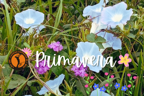 Primavera 2026